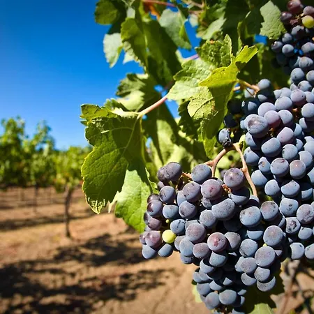 White Crow House דירה Hévíz