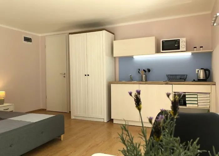 Apartament White Crow House