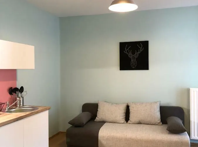 Apartament White Crow House Héviz