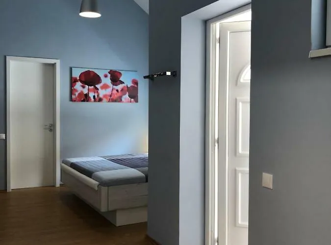 White Crow House Apartament Héviz