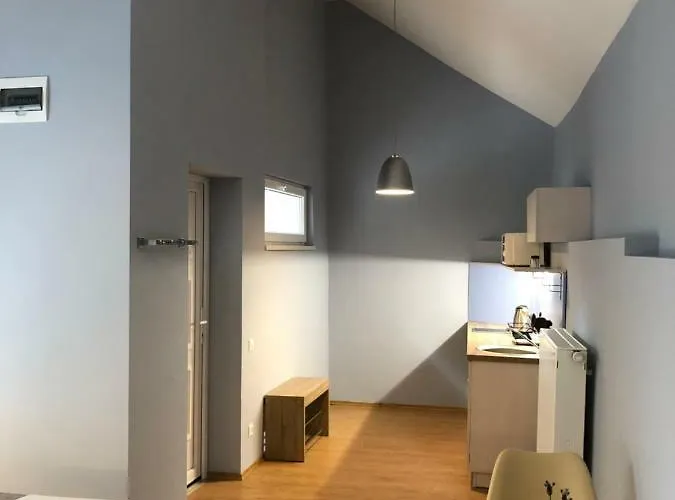 White Crow House Διαμέρισμα Hévíz